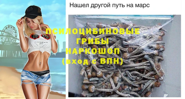ешки Аркадак