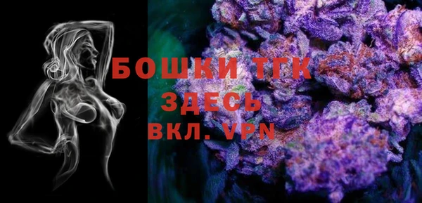 ешки Аркадак