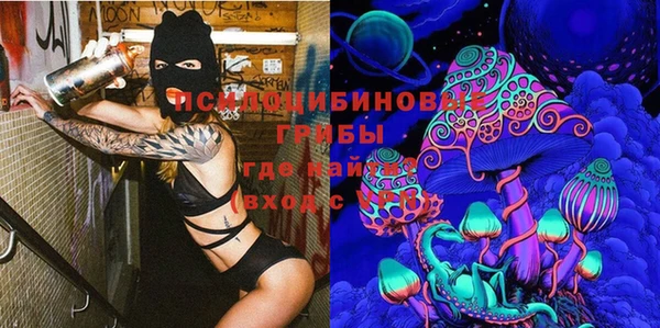apvp Арсеньев