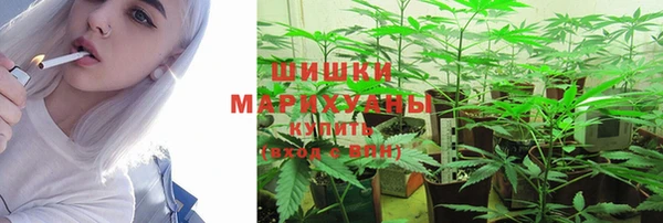 ешки Аркадак