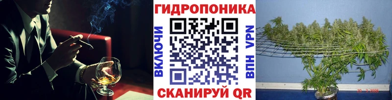 Каннабис SATIVA & INDICA Микунь